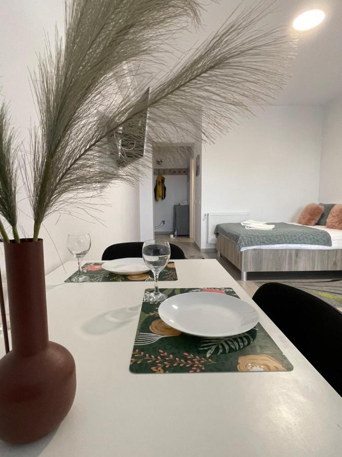יאשי Studio Apartment Palas Mall מראה חיצוני תמונה